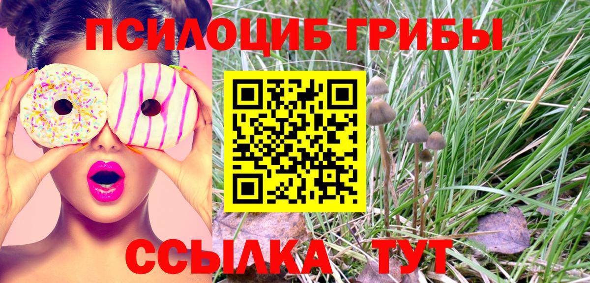 Галлюциногенные грибы прущие грибы  купить  цена  Вход с VPN  Красный Сулин  Псилоцибиновые грибы Cubensis 